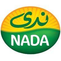 nada - ندى logo image