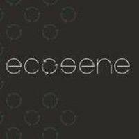 ecosene logo image