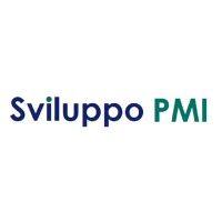 sviluppo pmi logo image