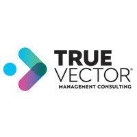 true vector management consulting logo image