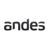 andes b.v. logo image