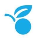 logo of Raiseberry