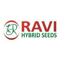 ravi hybrid seeds logo image