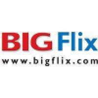 reliance big entertainment pvt ltd (bigflix) logo image