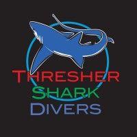 thresher shark divers