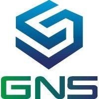 gns north america, inc. logo image