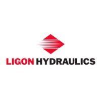 ligon hydraulics logo image