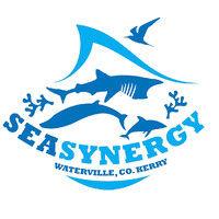 sea synergy logo image