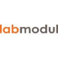 labmodul a/s logo image