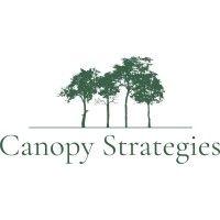 canopy strategies logo image