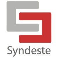 syndeste (acq: nghc) logo image