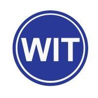 wit strategy logo image