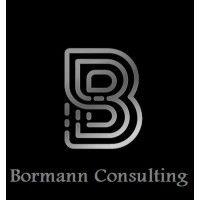 bormann consulting logo image