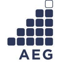 advanced energy group logo image