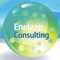 eneleap consulting logo image