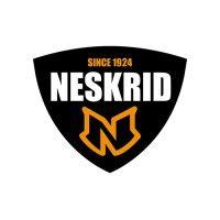 neskrid 4allfeet logo image