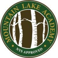 mountain lake academy logo image