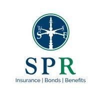 southpoint risk logo image