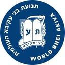 logo of World Bnei Akiva