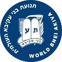 world bnei akiva logo image