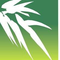 pacific bamboo resources logo image