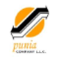 punia company, llc logo image