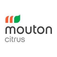 mouton citrus logo image