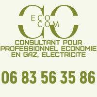 ecocom logo image