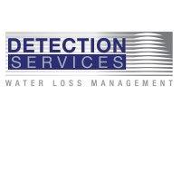 detection services pty ltd logo image