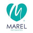 logo of Marel De Mexico S A De C V