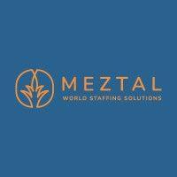 meztal logo image