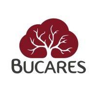 bucares logo image