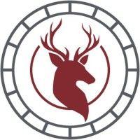 stag advisors logo image