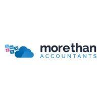 more than accountants