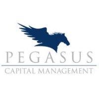 pegasus capital management logo image