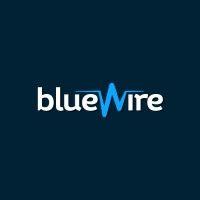 blue wire logo image