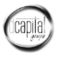 domínio capital group logo image