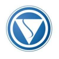 v s projects & system engineers logo image