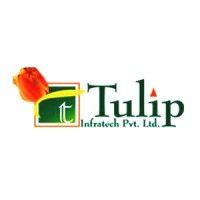 tulip infratech logo image