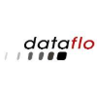 dataflo logo image