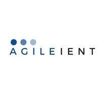 agileient logo image