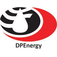 dpe co. logo image