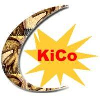 kico vzw logo image