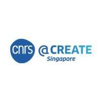 cnrs@create logo image