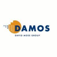 david moss corporation logo image