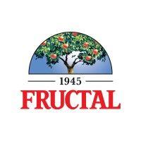 fructal d.o.o. logo image