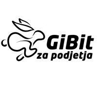 gibit d.o.o. logo image