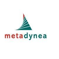 metadynea llc (russia) logo image