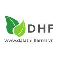 dhf platforms logo image