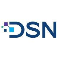 digital services network logo image